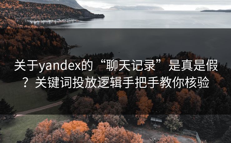 关于yandex的“聊天记录”是真是假？关键词投放逻辑手把手教你核验