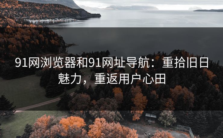 91网浏览器和91网址导航：重拾旧日魅力，重返用户心田
