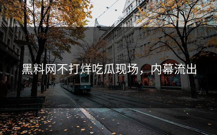 黑料网不打烊吃瓜现场，内幕流出