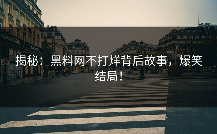 揭秘：黑料网不打烊背后故事，爆笑结局！