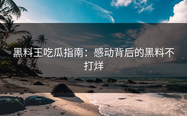 黑料王吃瓜指南：感动背后的黑料不打烊