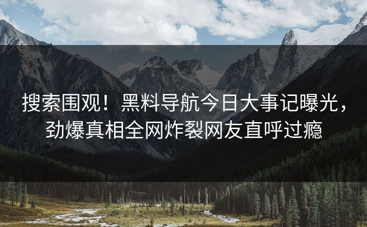 搜索围观！黑料导航今日大事记曝光，劲爆真相全网炸裂网友直呼过瘾