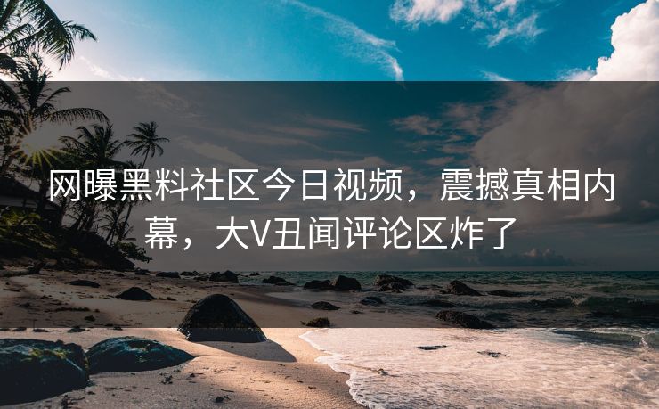 网曝黑料社区今日视频，震撼真相内幕，大V丑闻评论区炸了
